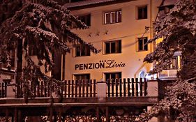 Penzionlivia,Tr.Teplice